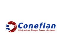Coneflan